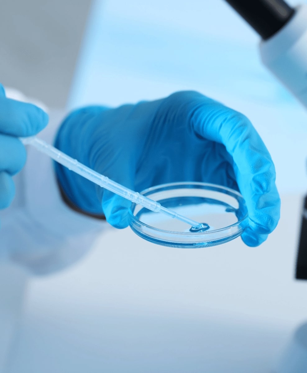 Matex lab